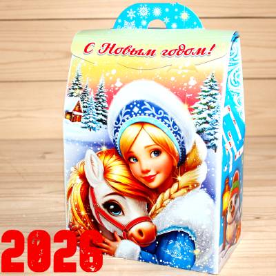 Детский новогодний подарок 2026 в Орехово-Зуево